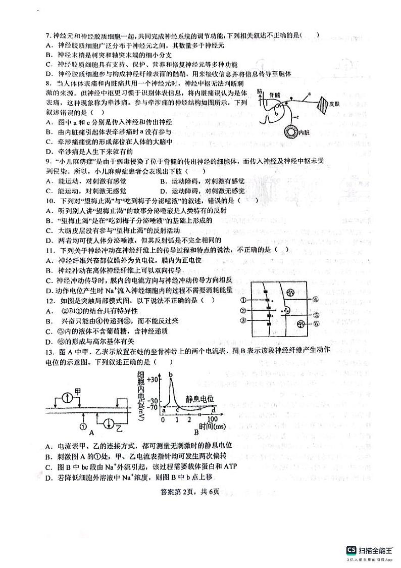 2024四川省仁寿一中校南校区高二上学期10月月考生物试题PDF版无答案第2页
