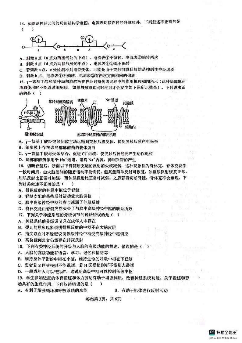 2024四川省仁寿一中校南校区高二上学期10月月考生物试题PDF版无答案第3页