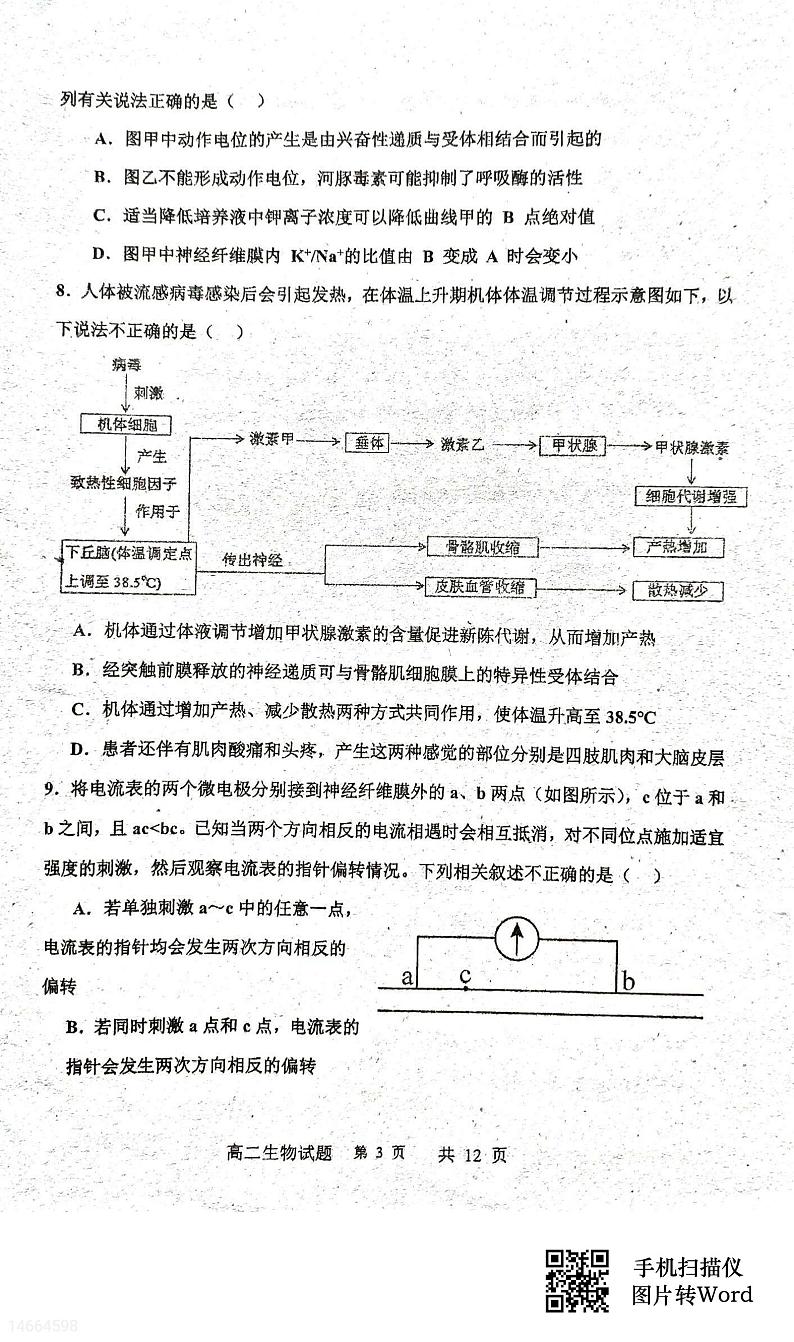 吉林省四校联考2023-2024学年高二上学期10月月考生物试题03