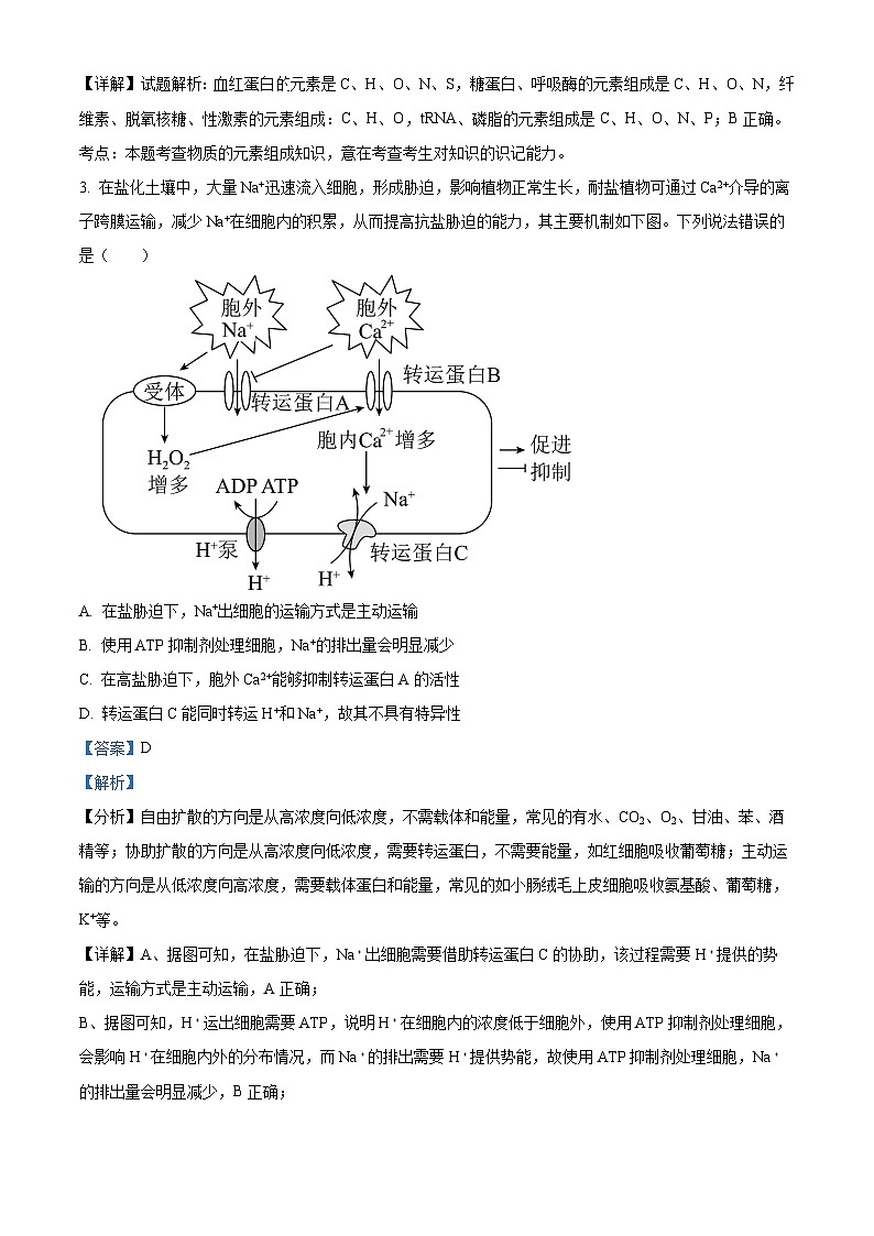 四川省内江市威远中学校2023-2024学年高三上学期第一次月考理综生物试题含解析第2页