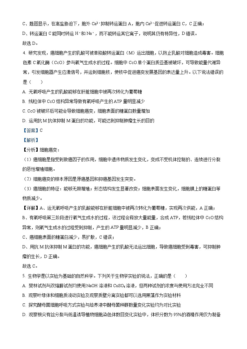 四川省内江市威远中学校2023-2024学年高三上学期第一次月考理综生物试题含解析第3页