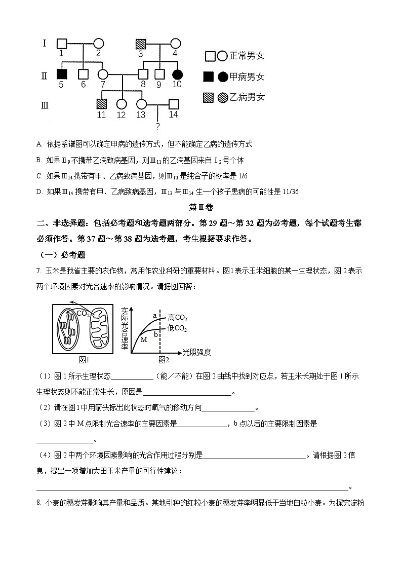四川省内江市威远中学校2023-2024学年高三上学期第一次月考理综生物试题无答案第3页