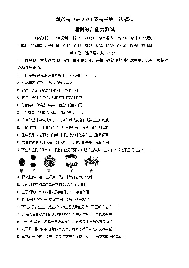 2023南充高级中学高三上学期第一次模拟考试理综生物试题含解析01
