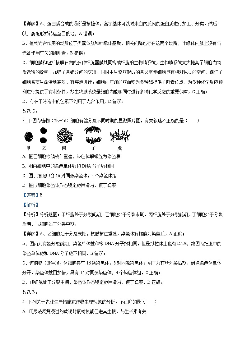 2023南充高级中学高三上学期第一次模拟考试理综生物试题含解析02