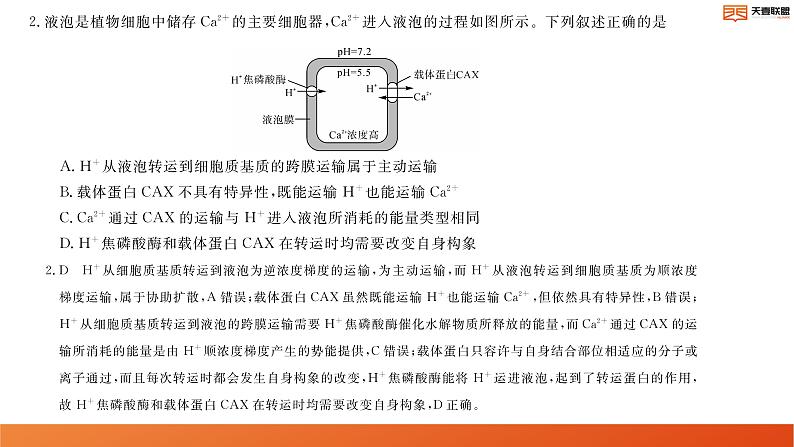 2024湖南省天壹名校联盟高二上学期10月联考生物试卷讲评PDF版含答案第3页