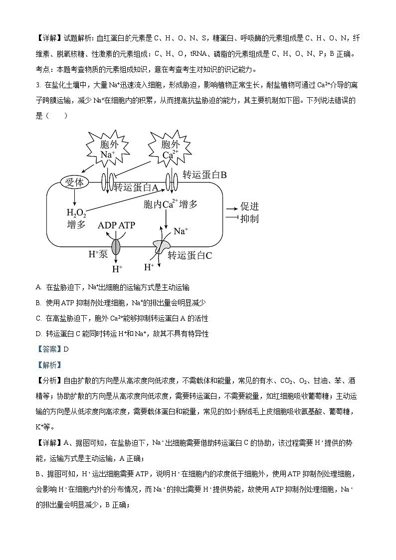 四川省内江市威远县威远中学2023-2024学年高三生物上学期第一次月考试题(Word版附解析)02