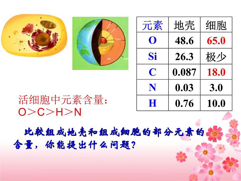 第二章第一节细胞中的元素和化合物课件人教版(2019)必修1第2页