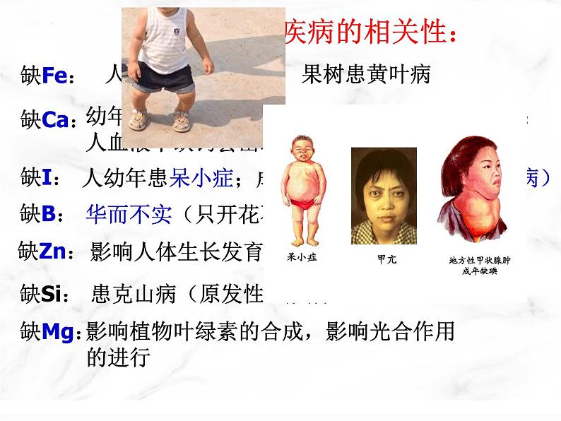 第二章第一节细胞中的元素和化合物课件人教版(2019)必修1第5页
