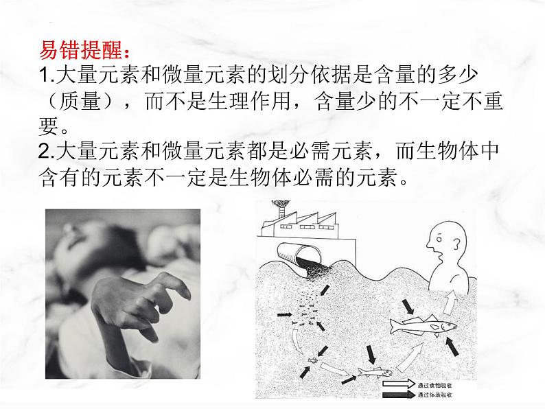 第二章第一节细胞中的元素和化合物课件人教版(2019)必修1第8页