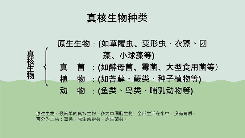 第一章第二节细胞的多样性和统一性课件人教版(2019)高中生物必修106