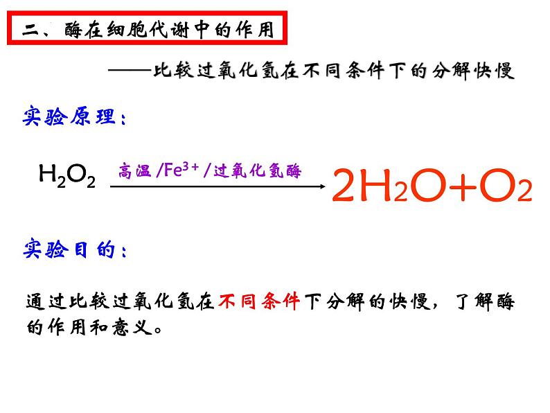 第五章第一节《降低化学反应活化能的酶》课件上人教版(2019)高中生物必修一04