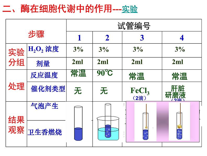 第五章第一节《降低化学反应活化能的酶》课件上人教版(2019)高中生物必修一06