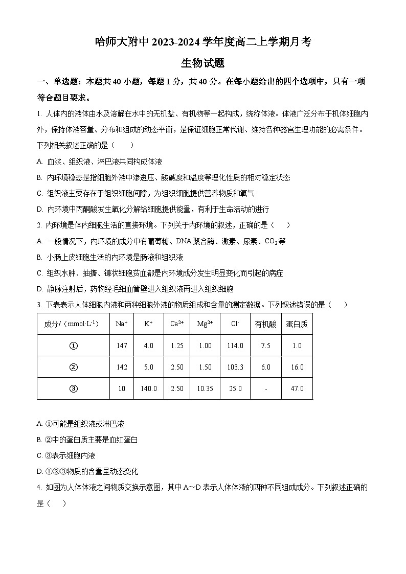 2024省哈尔滨师大附中高二上学期10月月考试题生物含解析第1页