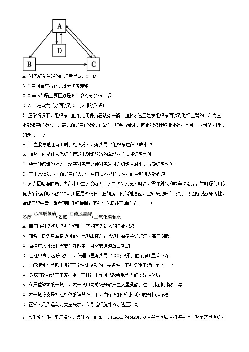 2024省哈尔滨师大附中高二上学期10月月考试题生物含解析第2页