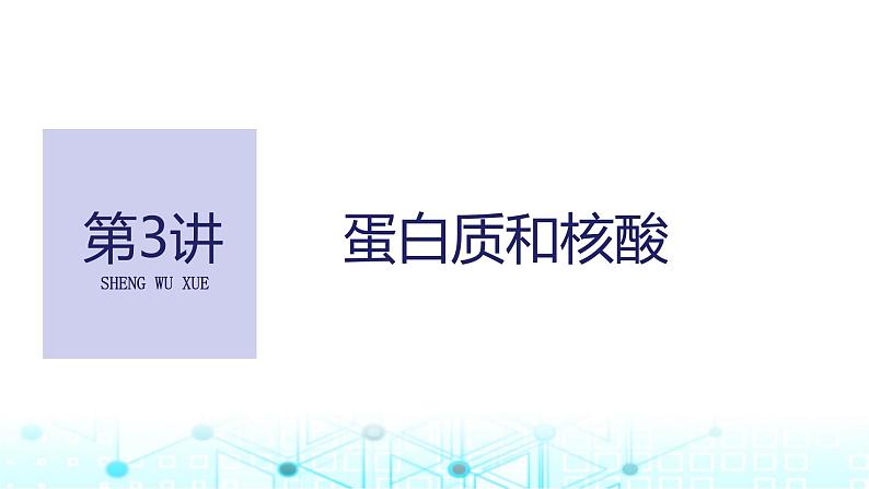 2024届苏教版高中生物一轮复习蛋白质和核酸课件第1页