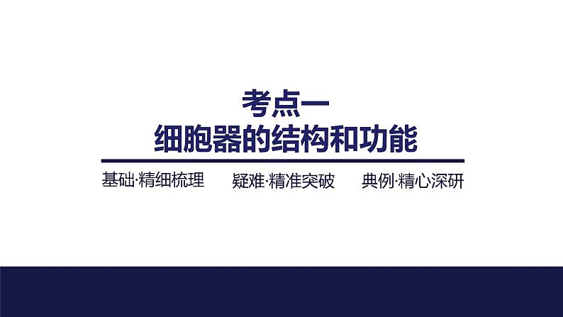 2024届苏教版高中生物一轮复习细胞器之间的分工合作课件第4页