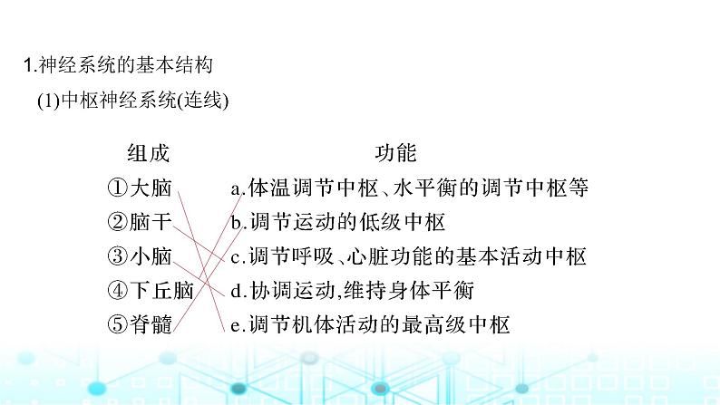 2024届苏教版高中生物一轮复习神经调节的结构基础和基本方式课件第5页
