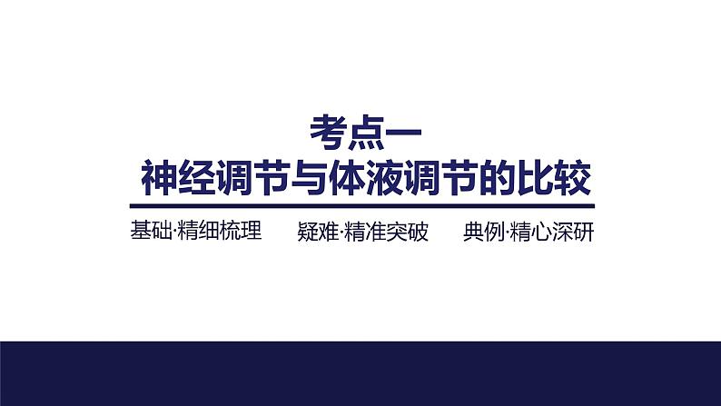2024届苏教版高中生物一轮复习体液调节与神经调节的关系课件第4页
