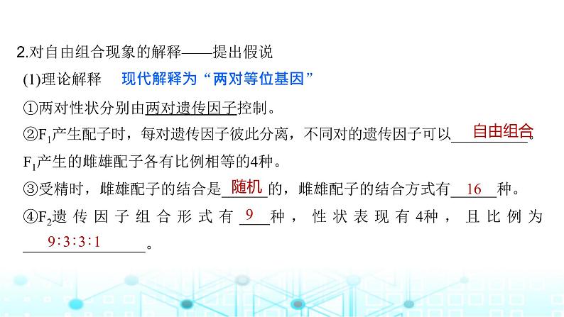2024届苏教版高中生物一轮复习基因的自由组合定律课件第7页