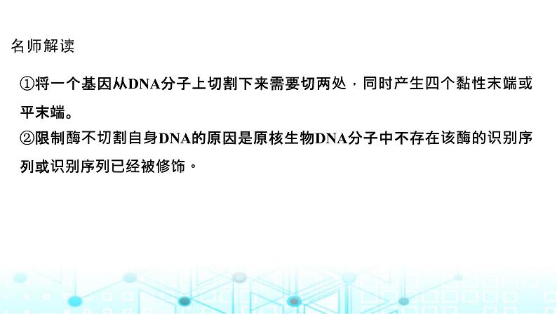 2024届苏教版高中生物一轮复习基因工程的基本工具和基本操作程序课件08