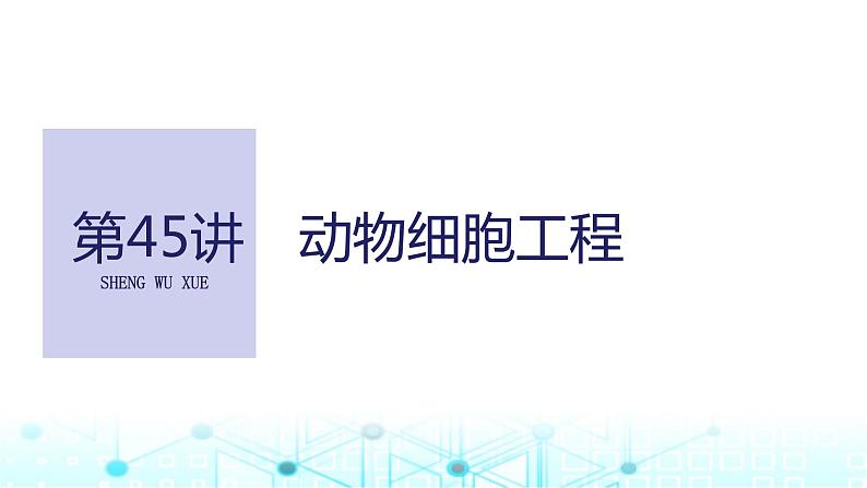 2024届苏教版高中生物一轮复习动物细胞工程课件第1页