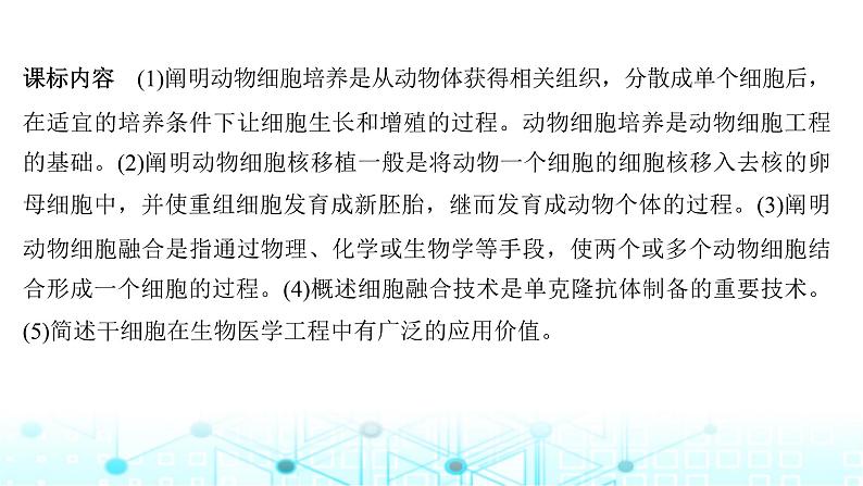 2024届苏教版高中生物一轮复习动物细胞工程课件第2页