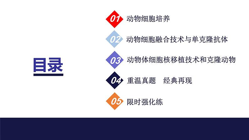 2024届苏教版高中生物一轮复习动物细胞工程课件第3页