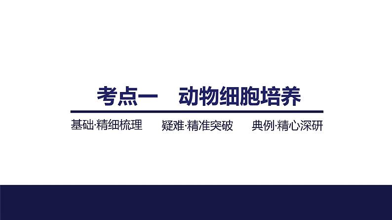 2024届苏教版高中生物一轮复习动物细胞工程课件第4页