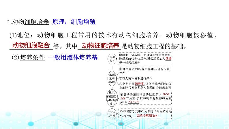2024届苏教版高中生物一轮复习动物细胞工程课件第5页