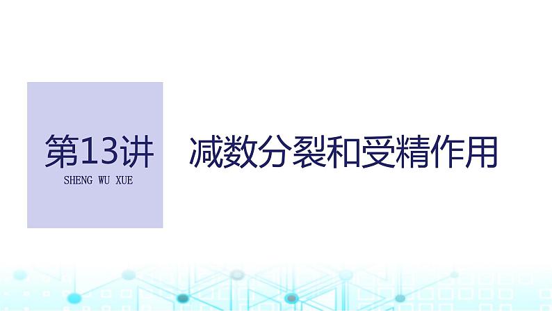 2024届苏教版高中生物一轮复习减数分裂和受精作用课件第1页