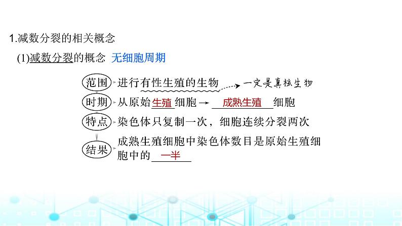 2024届苏教版高中生物一轮复习减数分裂和受精作用课件第5页