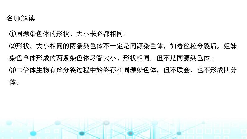 2024届苏教版高中生物一轮复习减数分裂和受精作用课件第8页