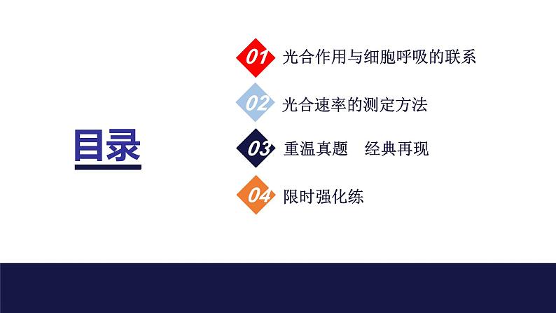 2024届苏教版高中生物一轮复习光合作用与细胞呼吸的综合分析课件第2页