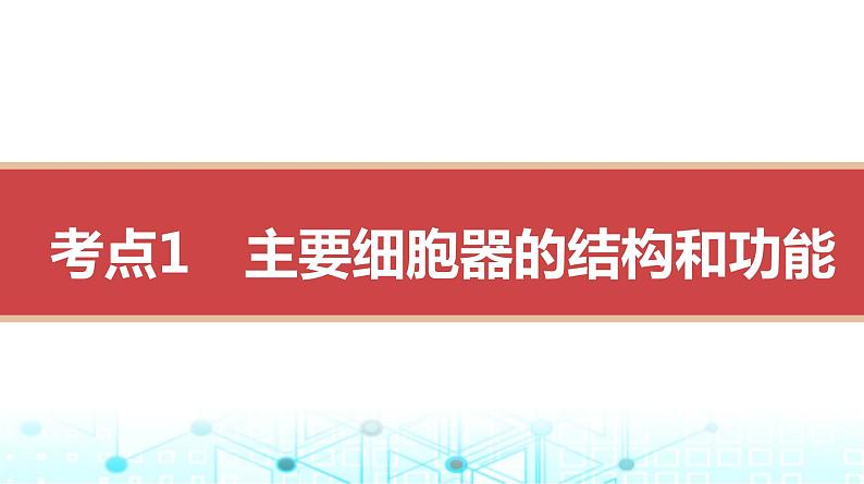 人教版高中生物必修一细胞器与生物膜系统课件第3页