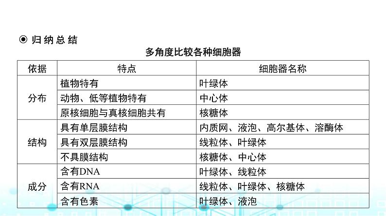 人教版高中生物必修一细胞器与生物膜系统课件第6页