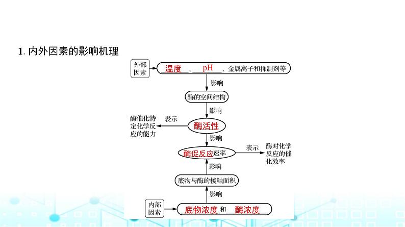 人教版高中生物必修一影响酶活性的因素课件第4页