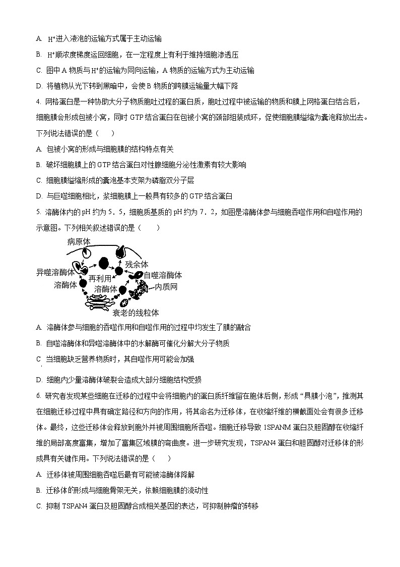 精品解析:湖北省重点高中智学联盟2023-2024学年高三10月联考生物试题(原卷版)第2页