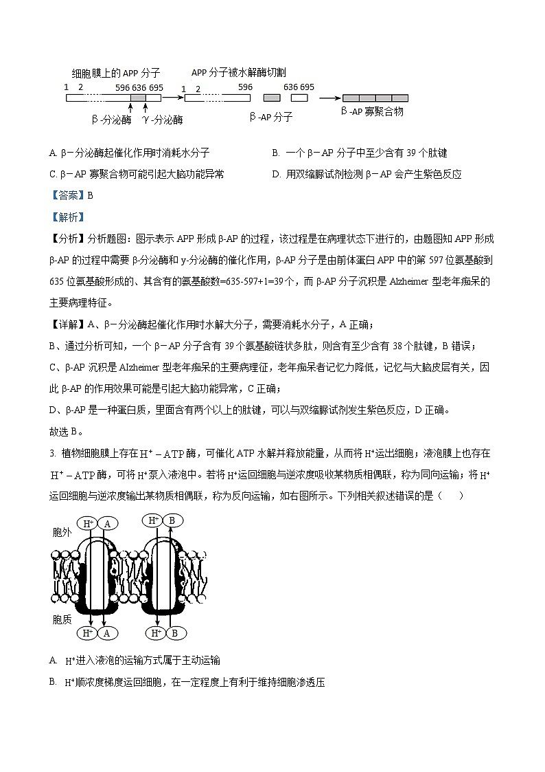 精品解析:湖北省重点高中智学联盟2023-2024学年高三10月联考生物试题(解析版)第2页