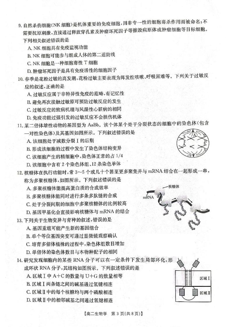 2024辽宁省部分学校高二上学期10月月考生物试题PDF版无答案03