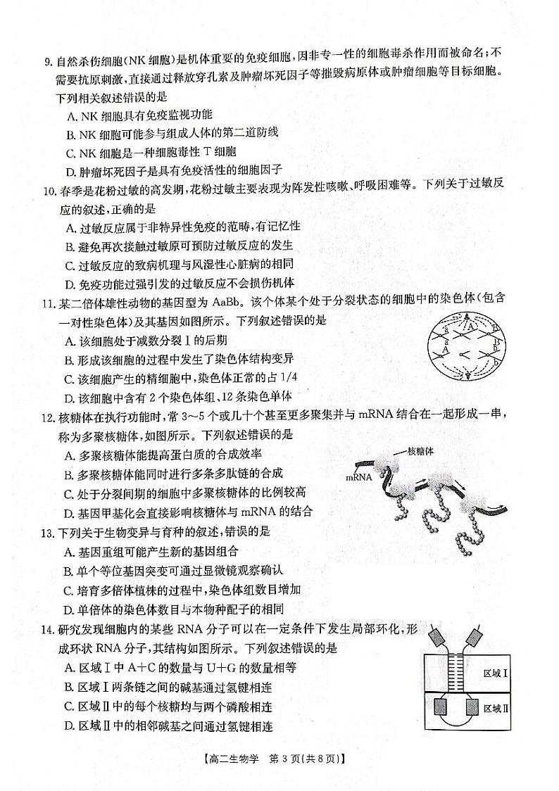 2024辽宁省部分学校高二上学期10月月考生物试题PDF版无答案第3页