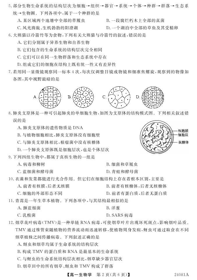 安徽省阜阳三中2023-2024学年高一年级第一学期一调考试生物02