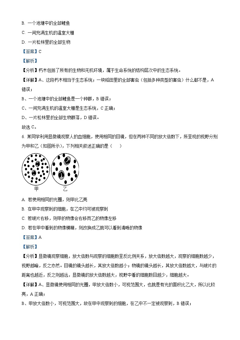 黑龙江省哈尔滨师范大学附属中学2023-2024学年高一生物上学期10月月考试题(Word版附解析)第3页