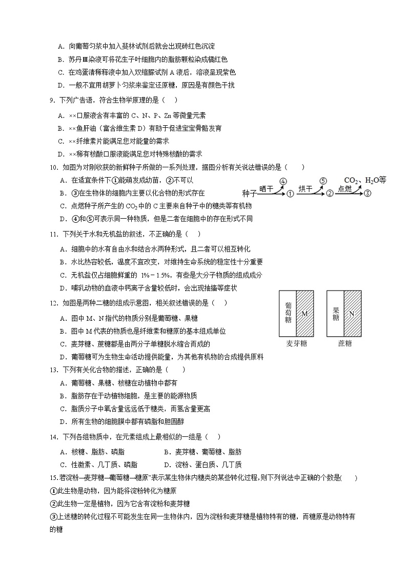 四川省广安市友谊中学实验学校2023-2024学年高一上学期10月月考生物试题02