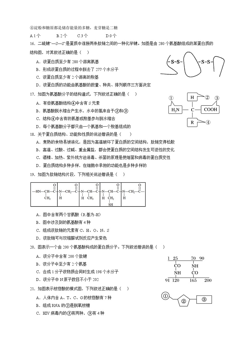 四川省广安市友谊中学实验学校2023-2024学年高一上学期10月月考生物试题03