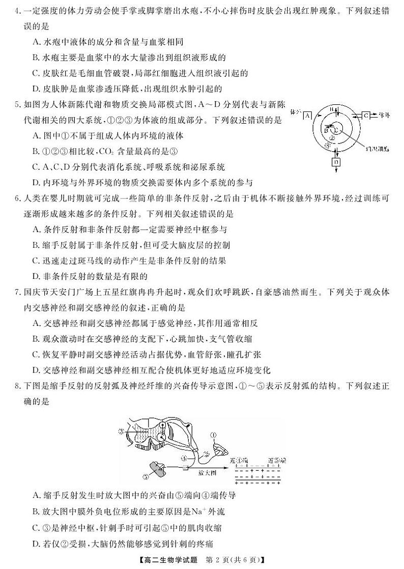 湖南省湖湘名校教育联合体2023-2024学年高二生物上学期10月联考试卷(PDF版附答案)第2页