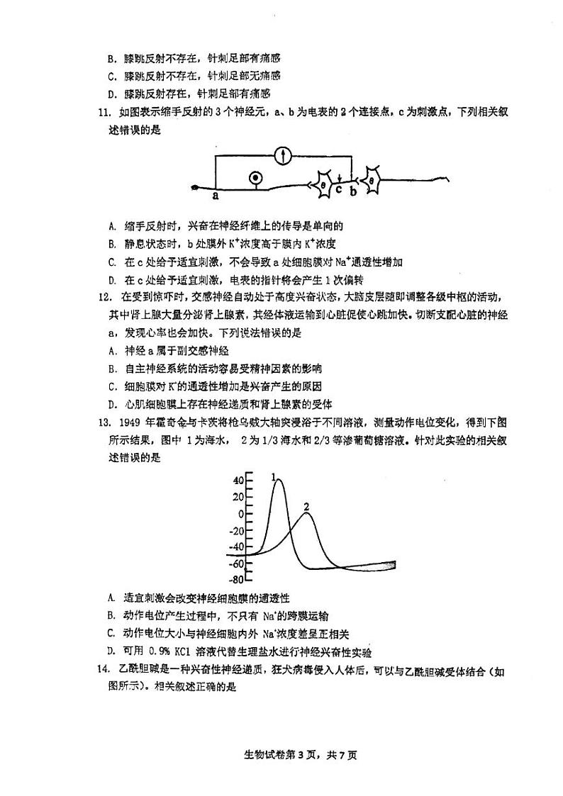 海南省海口市第一中学2023-2024学年高二上学期10月月考生物试题第3页
