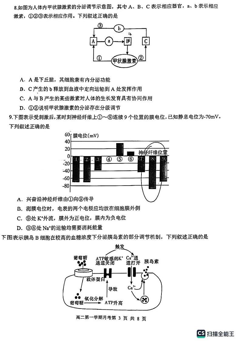 山东省实验中学2023-2024学年高二生物上学期10月月考试题(PDF版附答案)第3页