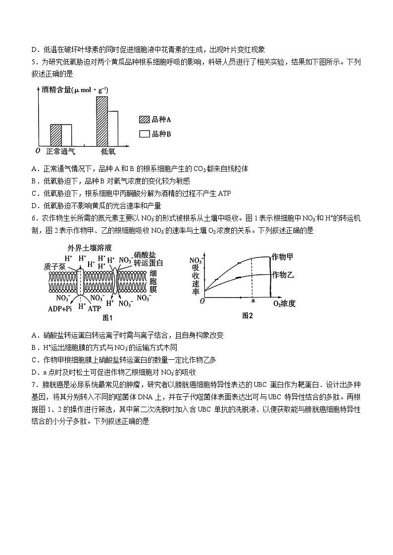 山东省实验中学2023-2024学年高三上学期第一次诊断考试生物试题(月考)第2页