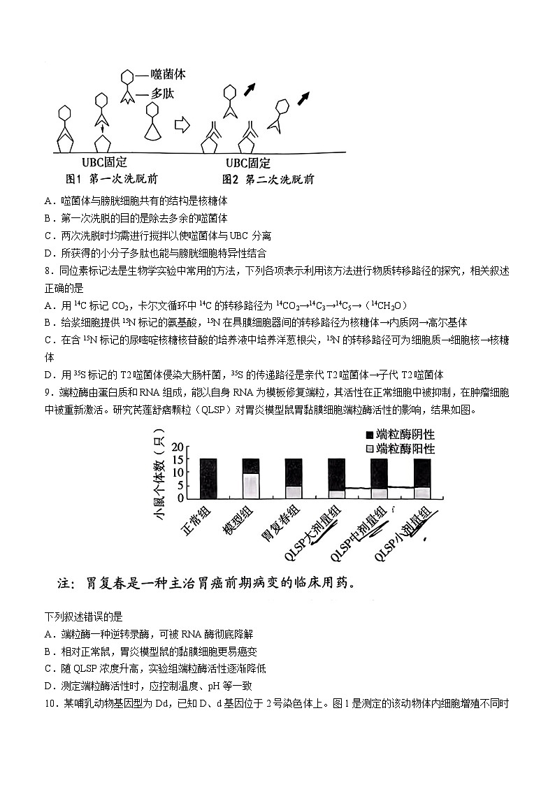 山东省实验中学2023-2024学年高三上学期第一次诊断考试生物试题(月考)第3页