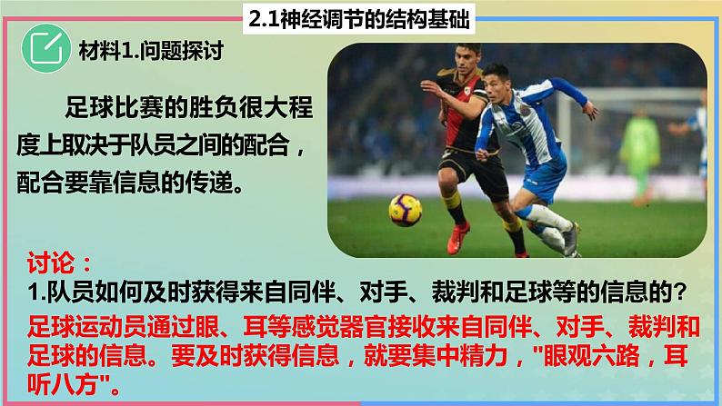 2023_2024学年同步备课精选高中生物2.1神经调节的结构基础课件新人教版选择性必修1第4页